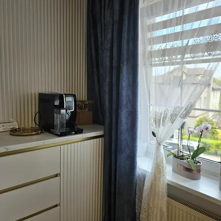 Medziotoju In Old Apartment Palanga