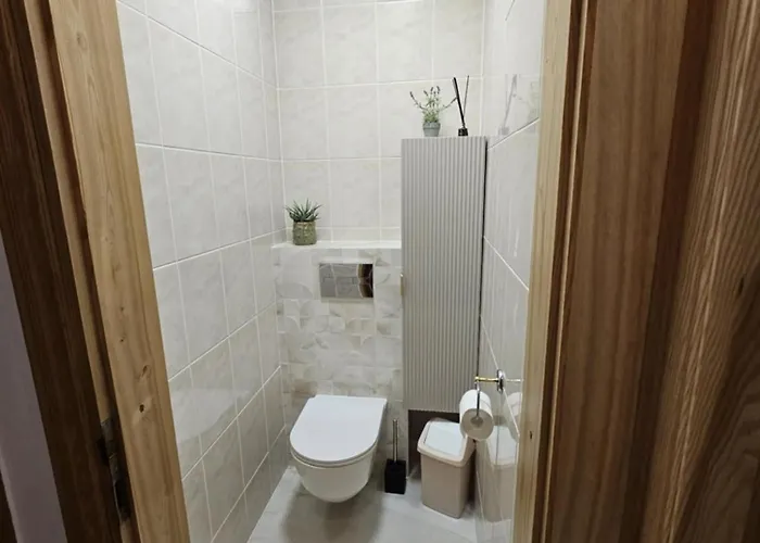 Medziotoju In Old * Palanga